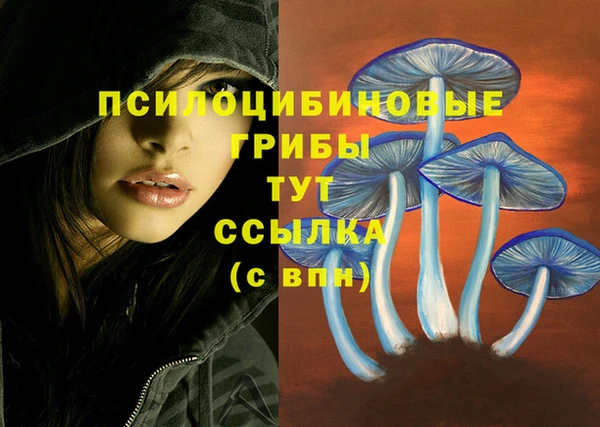 спайс Волоколамск