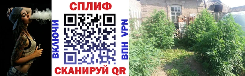 Марихуана White Widow  Купить где  Валдай 